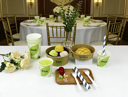 Disposable Paper Salad containers